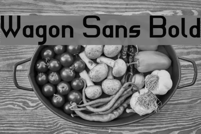 Wagon Sans Bold Font examples