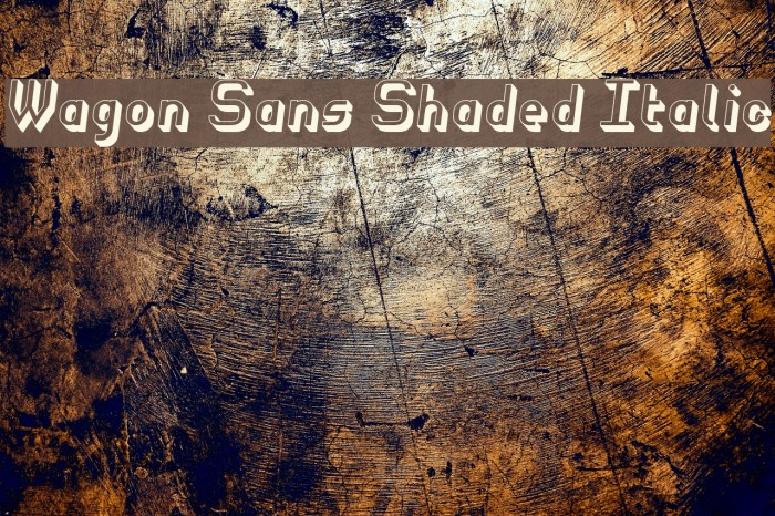 Wagon Sans Shaded Italic Font examples