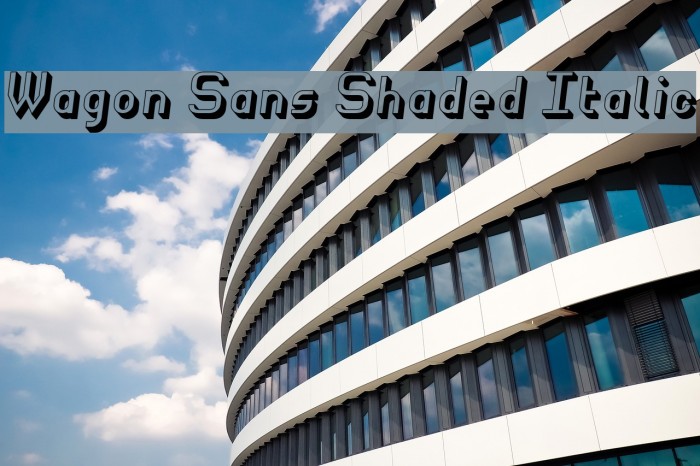 Wagon Sans Shaded Italic Font examples