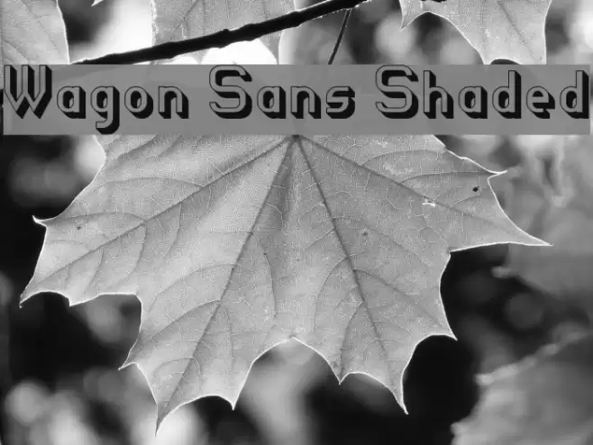 Wagon Sans Shaded Font examples