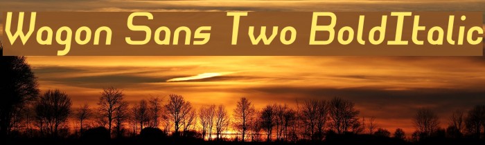 Wagon Sans Two BoldItalic Font examples