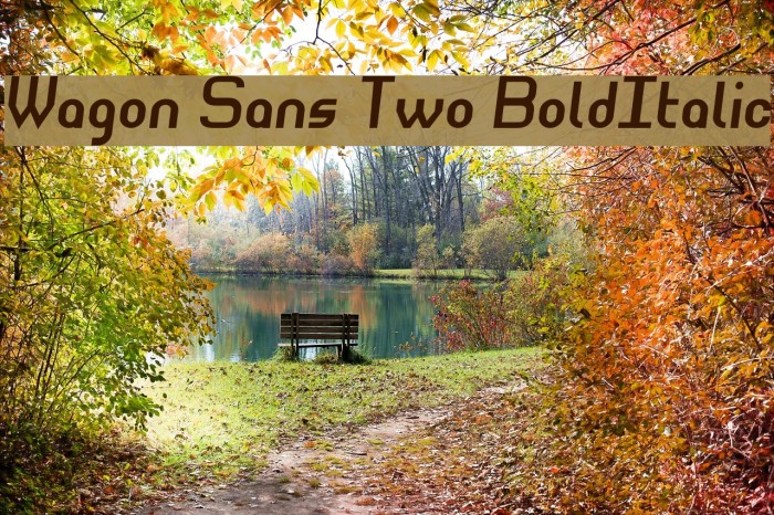 Wagon Sans Two BoldItalic Font examples