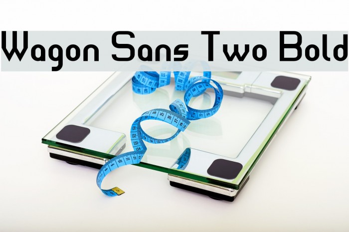 Wagon Sans Two Bold Font examples