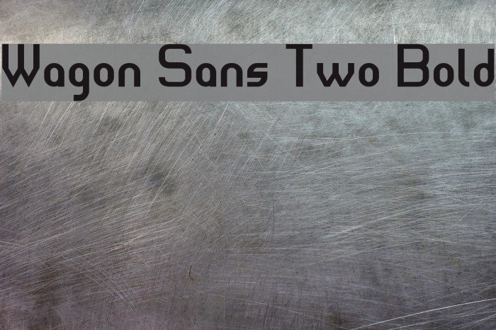 Wagon Sans Two Bold Font examples