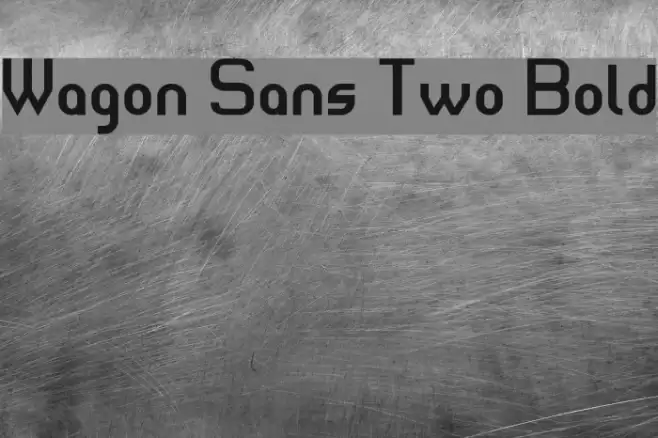 Wagon Sans Two Bold Font examples