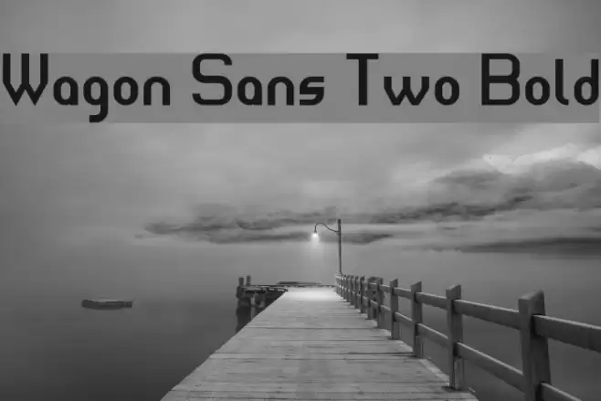 Wagon Sans Two Bold Font examples