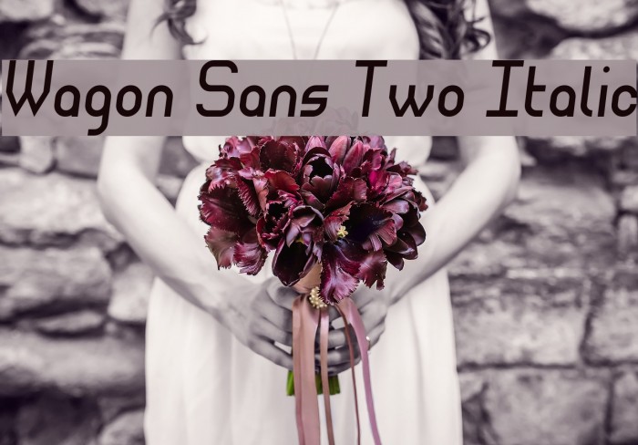 Wagon Sans Two Italic Font examples