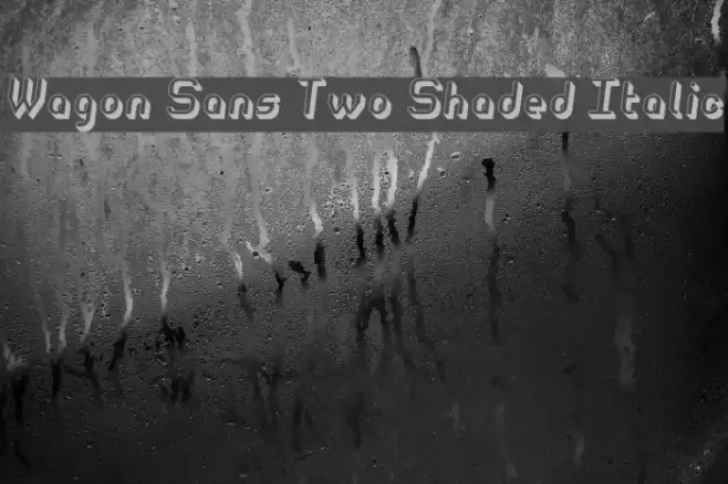 Wagon Sans Two Shaded Italic Font examples