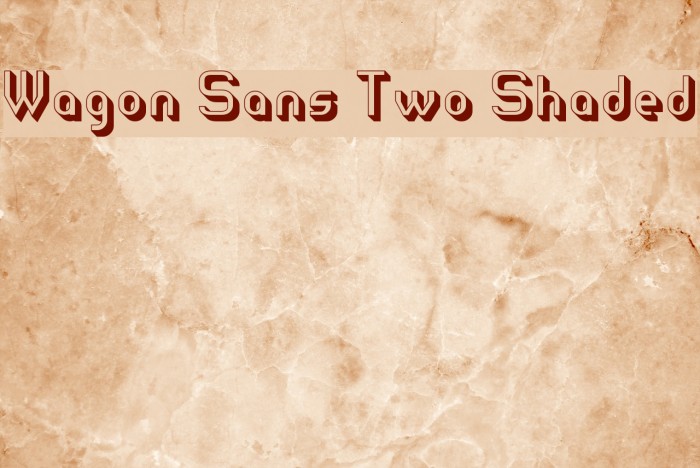 Wagon Sans Two Shaded Font examples