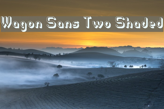 Wagon Sans Two Shaded Font examples