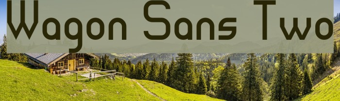 Wagon Sans Two Font examples