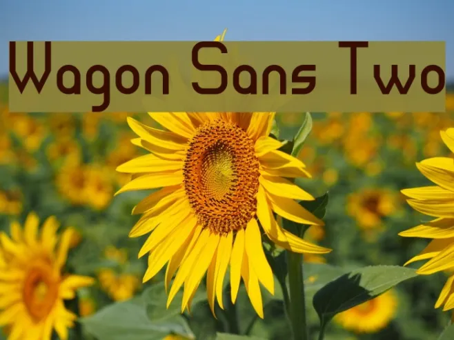 Wagon Sans Two Example 3