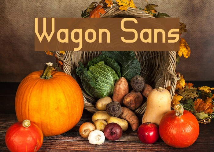 Wagon Sans Font examples