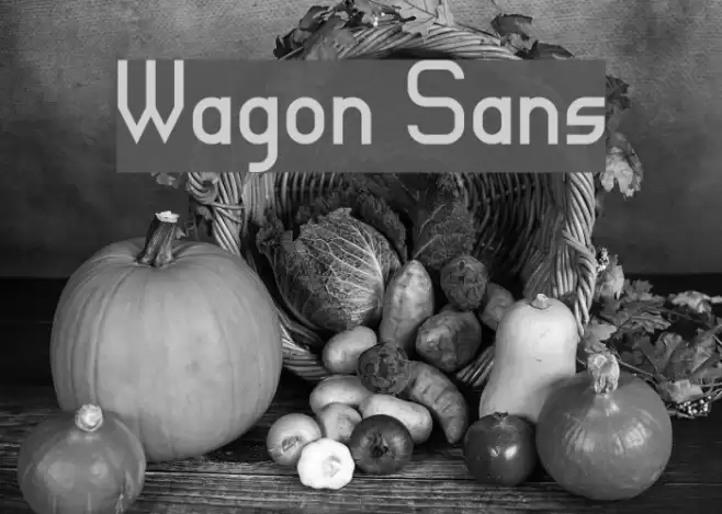 Wagon Sans Font examples