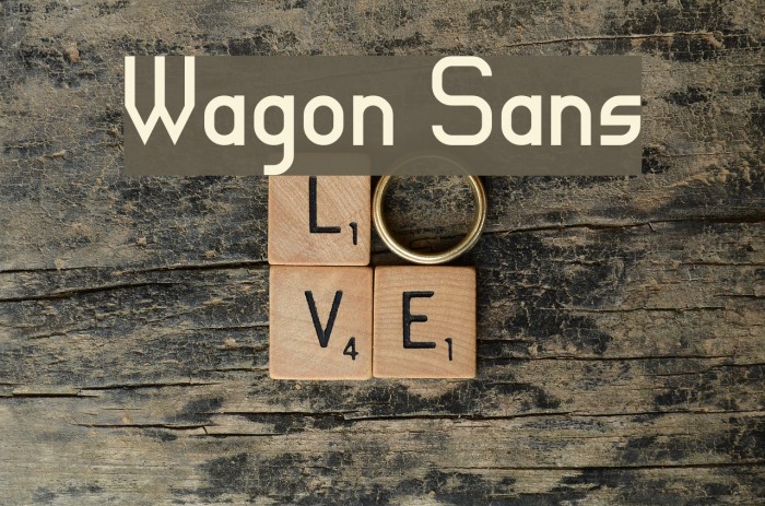 Wagon Sans Font examples