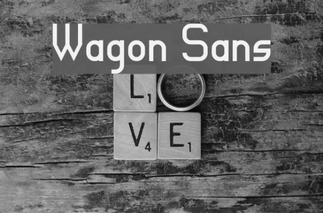Wagon Sans Font examples