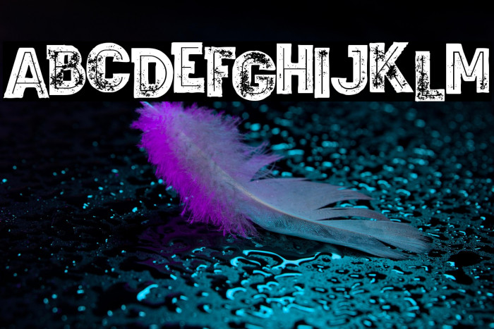 Wagoon Bold Inline Grunge Example 1