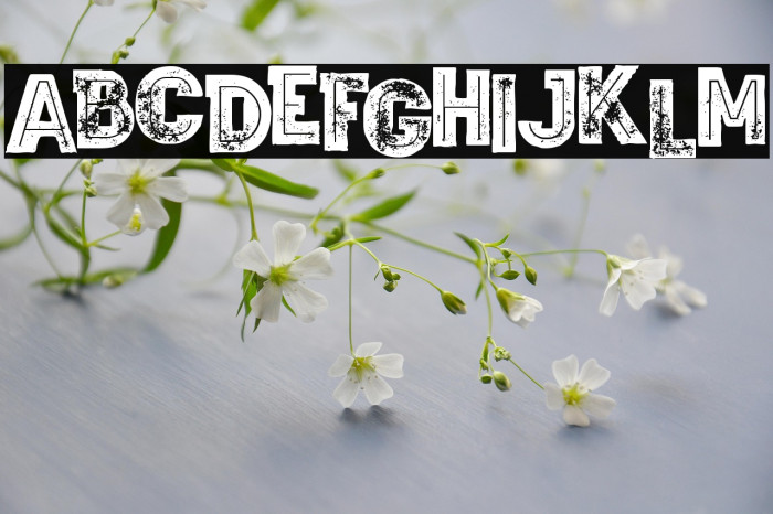 Wagoon Bold Inline Grunge Example 3