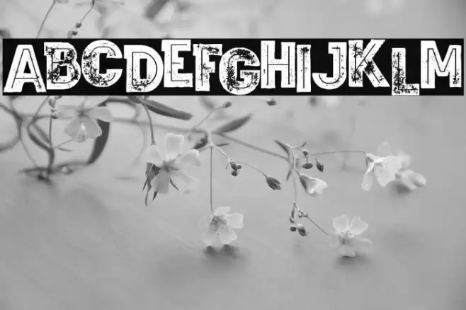 Wagoon Bold Inline Grunge Font examples