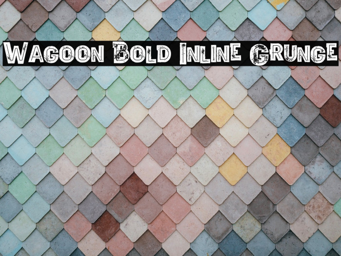 Wagoon Bold Inline Grunge Example 2