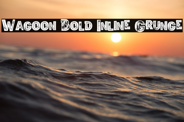 Wagoon Bold Inline Grunge Example 3