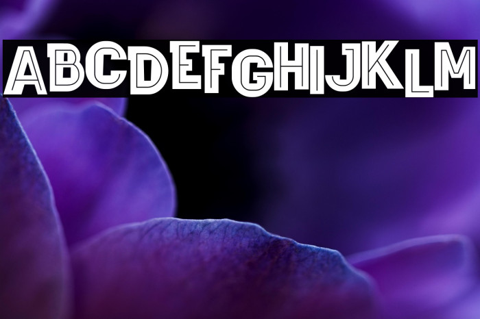 Wagoon Bold Inline Example 2