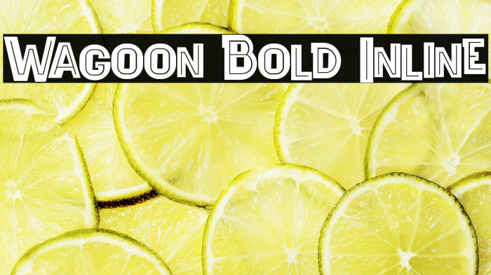 Wagoon Bold Inline Example 2
