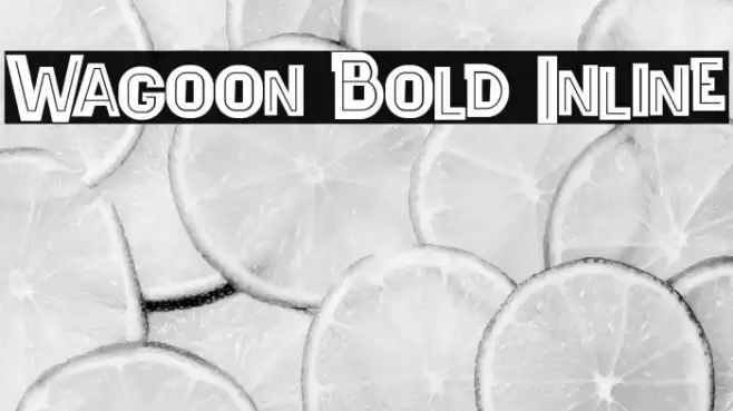 Wagoon Bold Inline Font examples