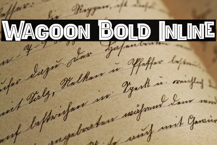 Wagoon Bold Inline Example 3