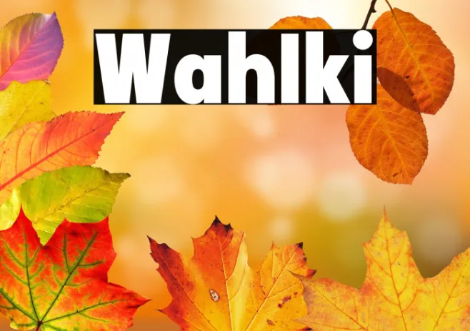 Wah Iki Example 2