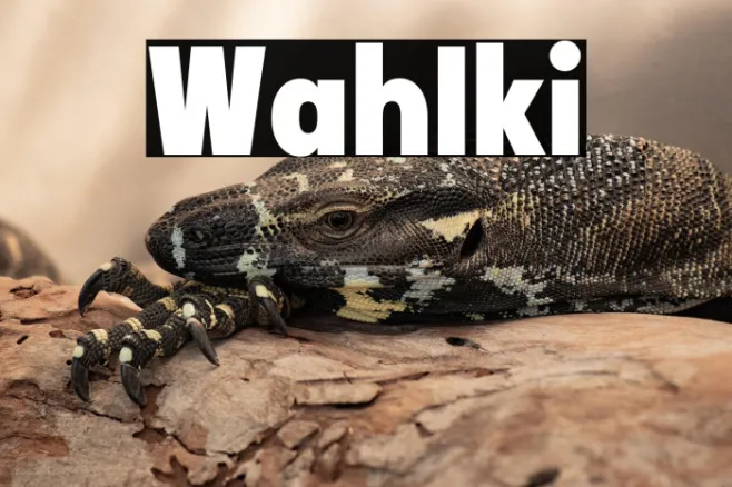 Wah Iki Example 3