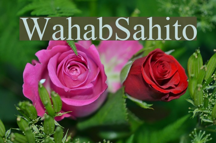 WahabSahito Font examples