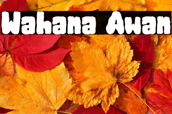 Wahana Awan Example 2