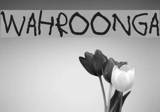 Wahroonga Font examples