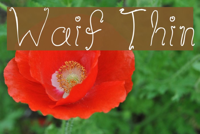 Waif Thin Font examples