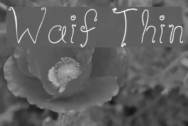 Waif Thin Polices examples