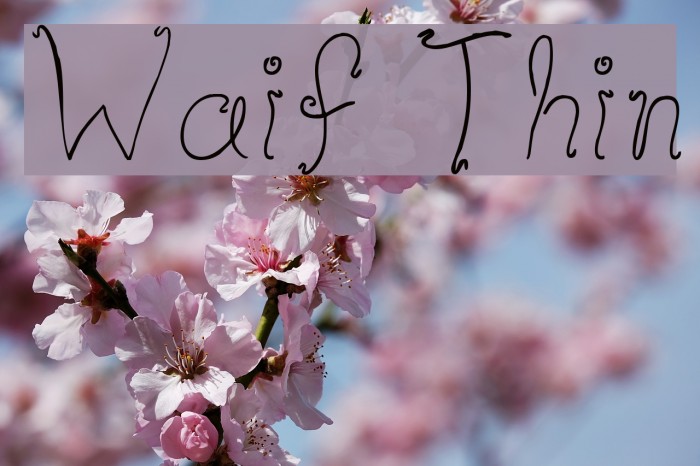 Waif Thin Font examples