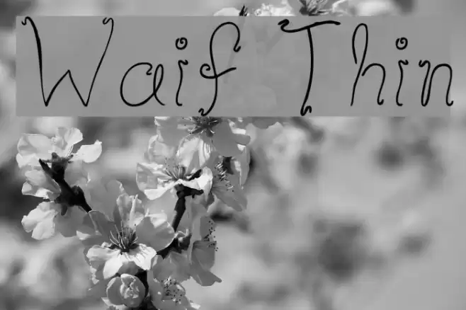 Waif Thin Polices examples