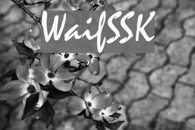 WaifSSK Font examples