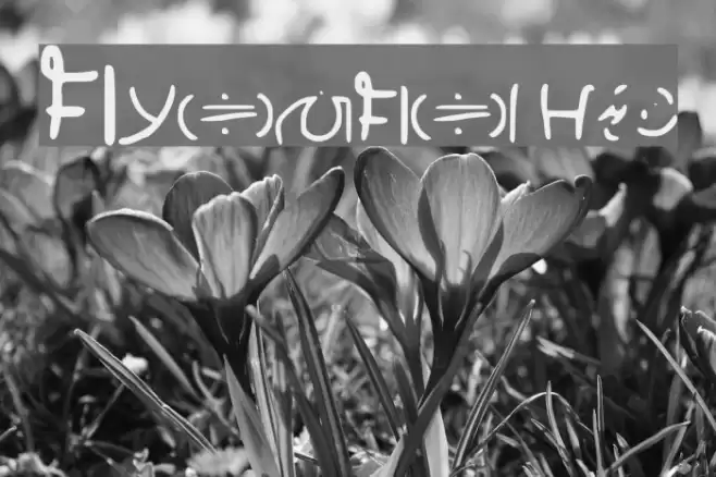 Wailwish Font examples