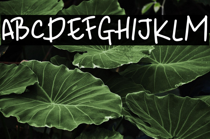 Waiting For My Girl DEMO Regular Example 2