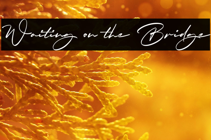 Waiting on the Bridge Example 1