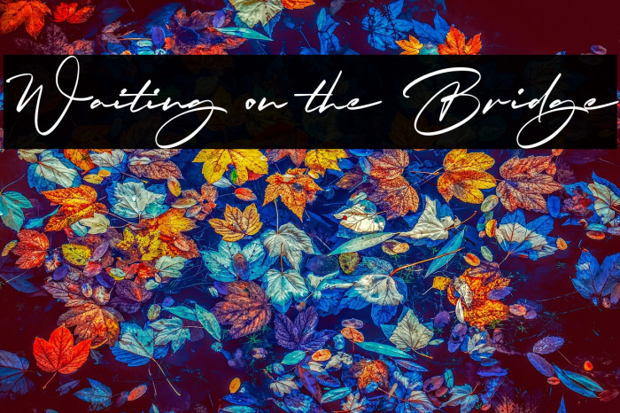 Waiting on the Bridge Example 3