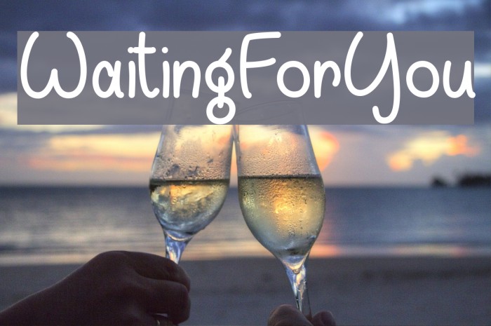 WaitingForYou フォント examples