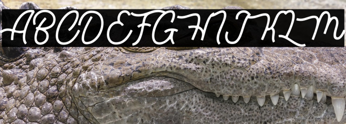 Waitingfor Example 2