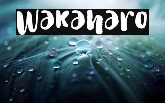 Wakaharo Example 1