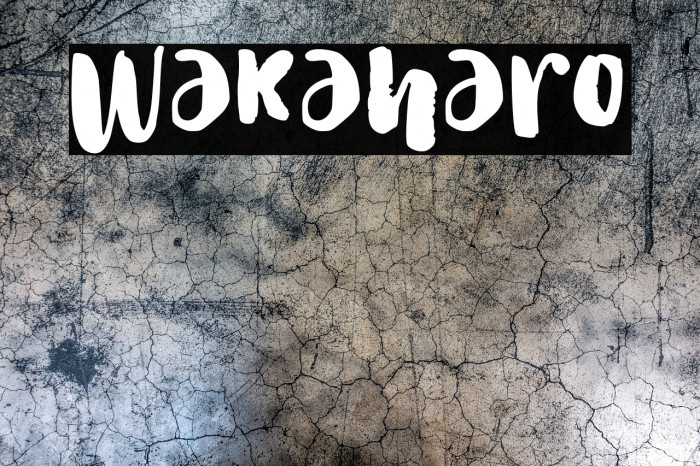 Wakaharo Example 2