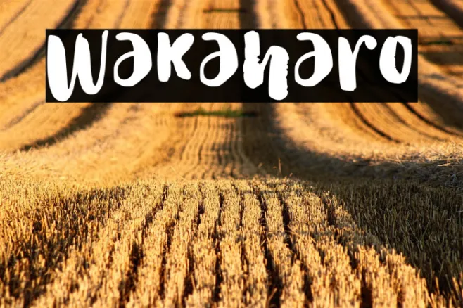 Wakaharo Example 3