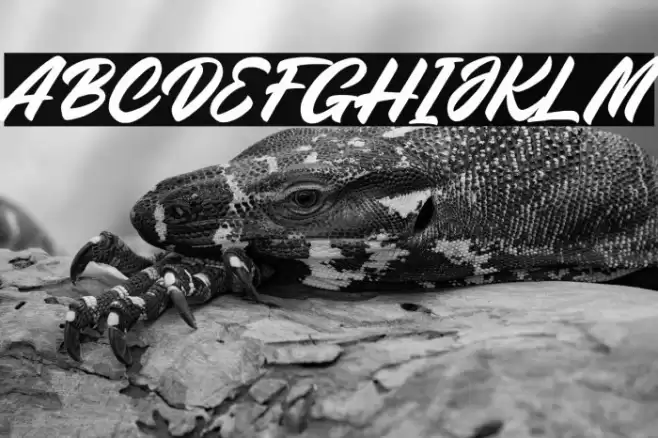 Wakanda Font examples