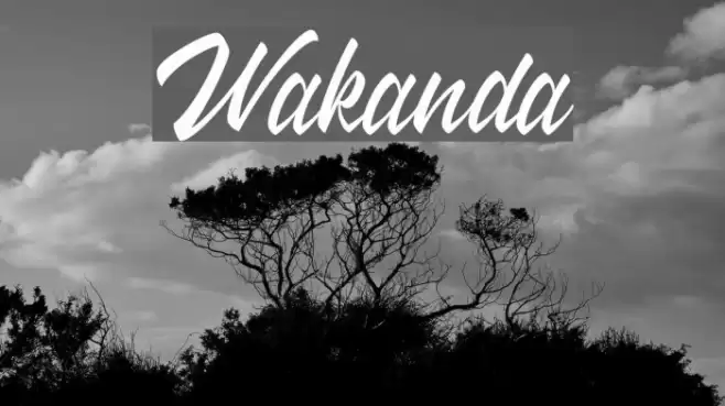 Wakanda Font examples